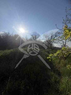 ������ ������� ������