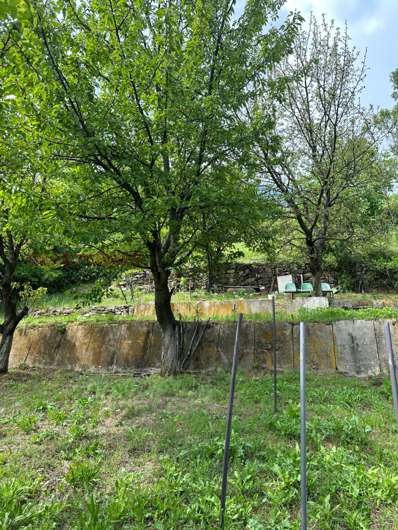 Продава ПАРЦЕЛ, с. Лясково, област Стара Загора, снимка 2 - Парцели - 52782193