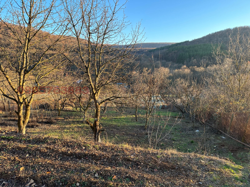 Продава ПАРЦЕЛ, с. Лясково, област Стара Загора, снимка 3 - Парцели - 52782193