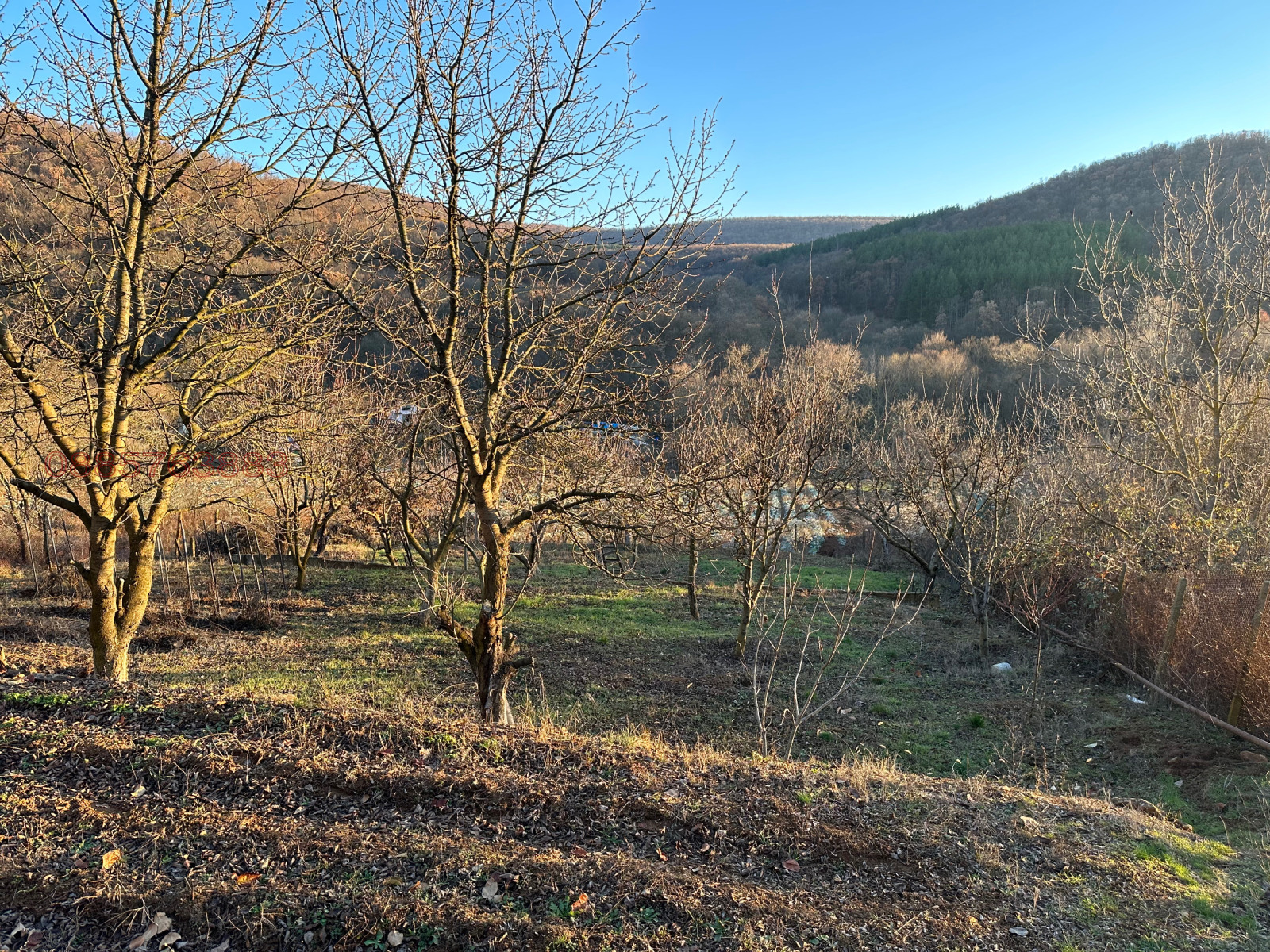 Продава ПАРЦЕЛ, с. Лясково, област Стара Загора, снимка 3 - Парцели - 55253997
