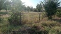 Продава ПАРЦЕЛ, с. Калояновец, област Стара Загора, снимка 1