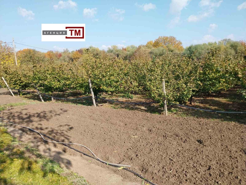 Продава ПАРЦЕЛ в област Стара Загора, с. Българене - 2000 кв.м / 7 669.38 € » 15 000 лв., ТМ ИМОТИ