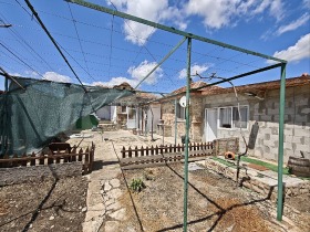 Hus Zlatina, region Varna 4