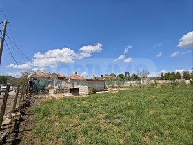 Hus Zlatina, region Varna 2