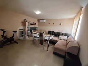 Hus Zlatina, region Varna 7