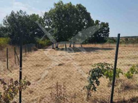 ������ ������� ������