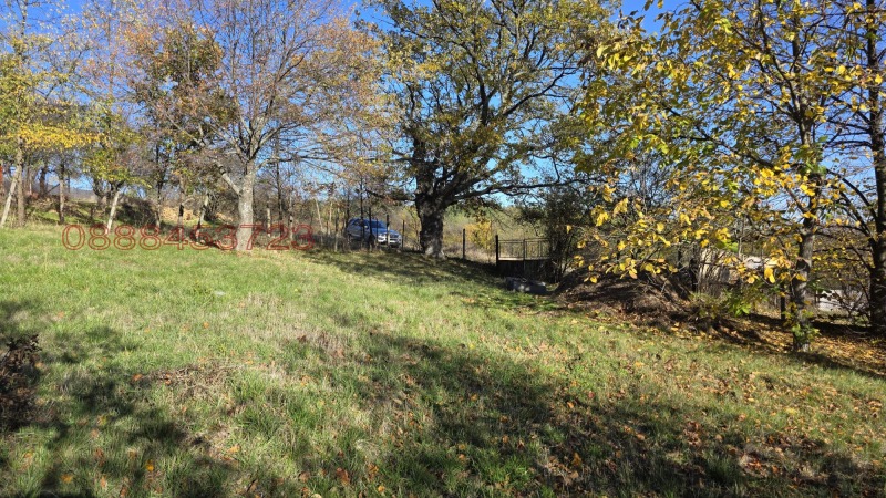 Продава ПАРЦЕЛ, с. Пауново, област София област, снимка 7 - Парцели - 52896636