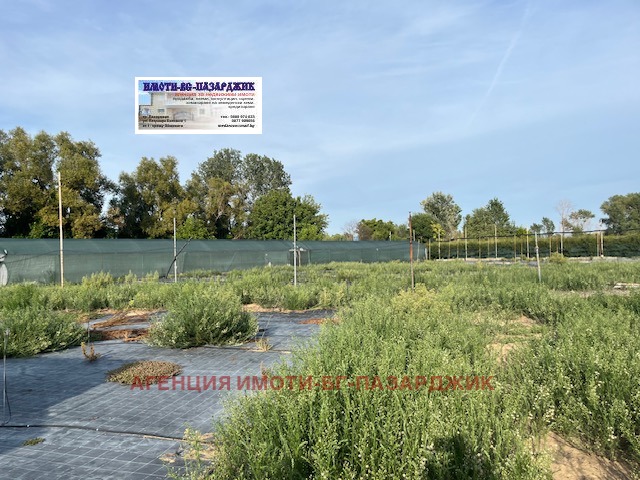 Продава БИЗНЕС ИМОТ, с. Злокучене, област Пазарджик, снимка 4 - Други - 51893555