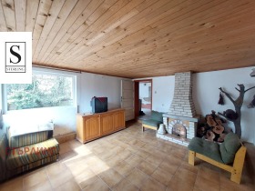 ����� ������� ����,�. �����, ������ �����