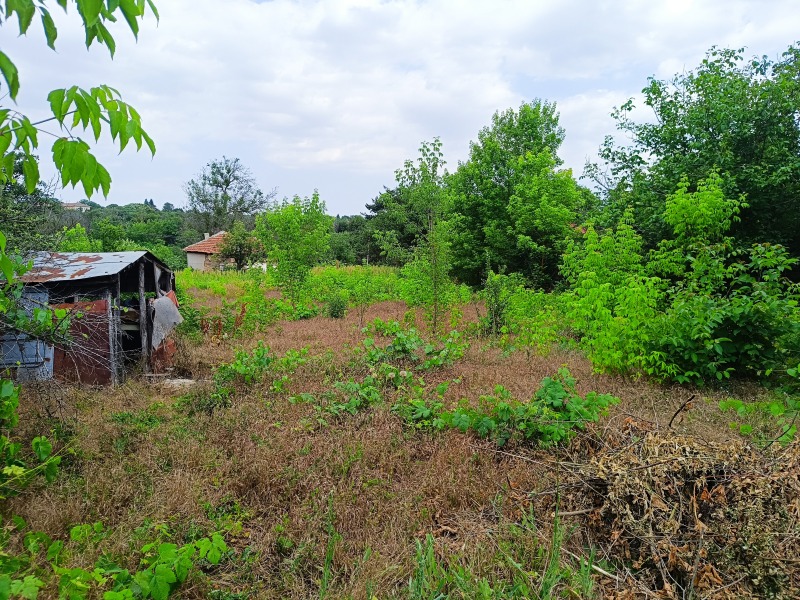 Продава  Къща област Добрич , с. Кардам , 90 кв.м | 13172040 - изображение [6]