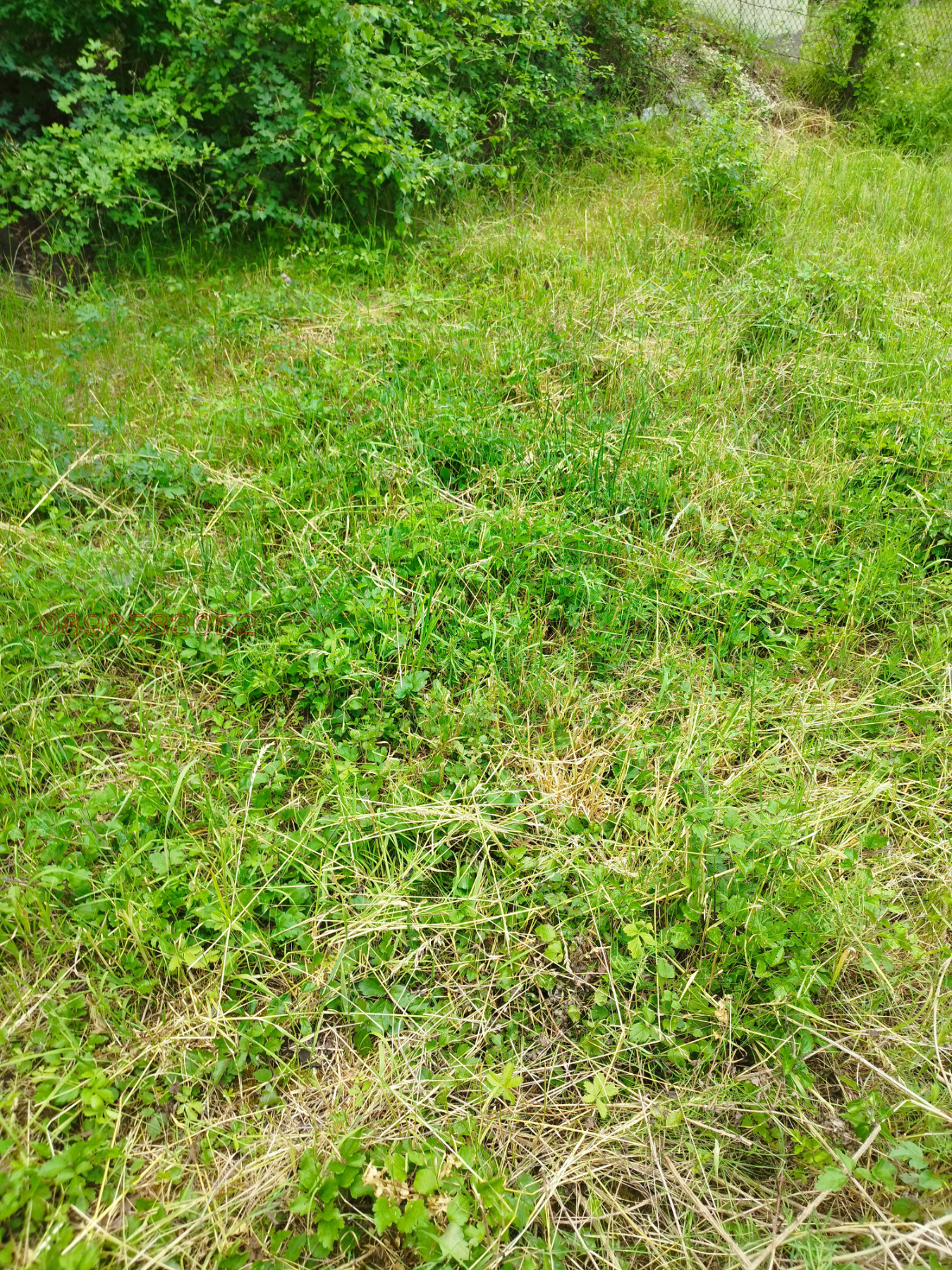 ������� ���� | Imot.bg � ����������� 15