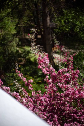 ������� 3-����� | Imot.bg � ����� ������ 17