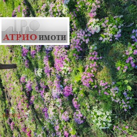 ������� ���� | Imot.bg � ����� ������ 17