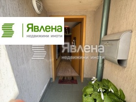 ����� ������� ����,���� �����, ����������� ������