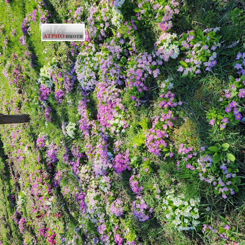 Продава ВИЛА, гр. София, с. Мало Бучино, снимка 16 - Вили - 54232231