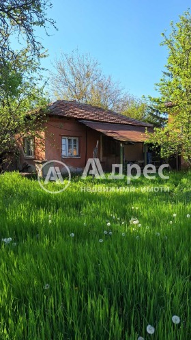 ������� ���� | Imot.bg � ����� ������ 8
