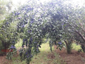 ������� ���������� ���� | Imot.bg � ����� ������ 13
