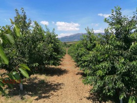 ������� ���������� ���� | Imot.bg � ����� ������ 4