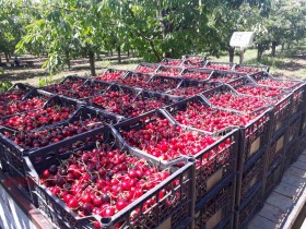 ������� ���������� ���� | Imot.bg � ����� ������ 6