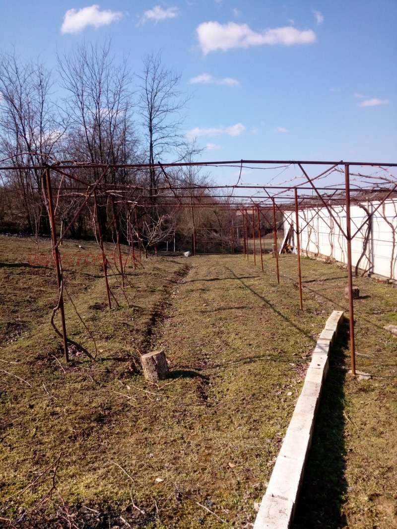 Продава КЪЩА, гр. Тутракан, област Силистра, снимка 17 - Къщи - 52856135