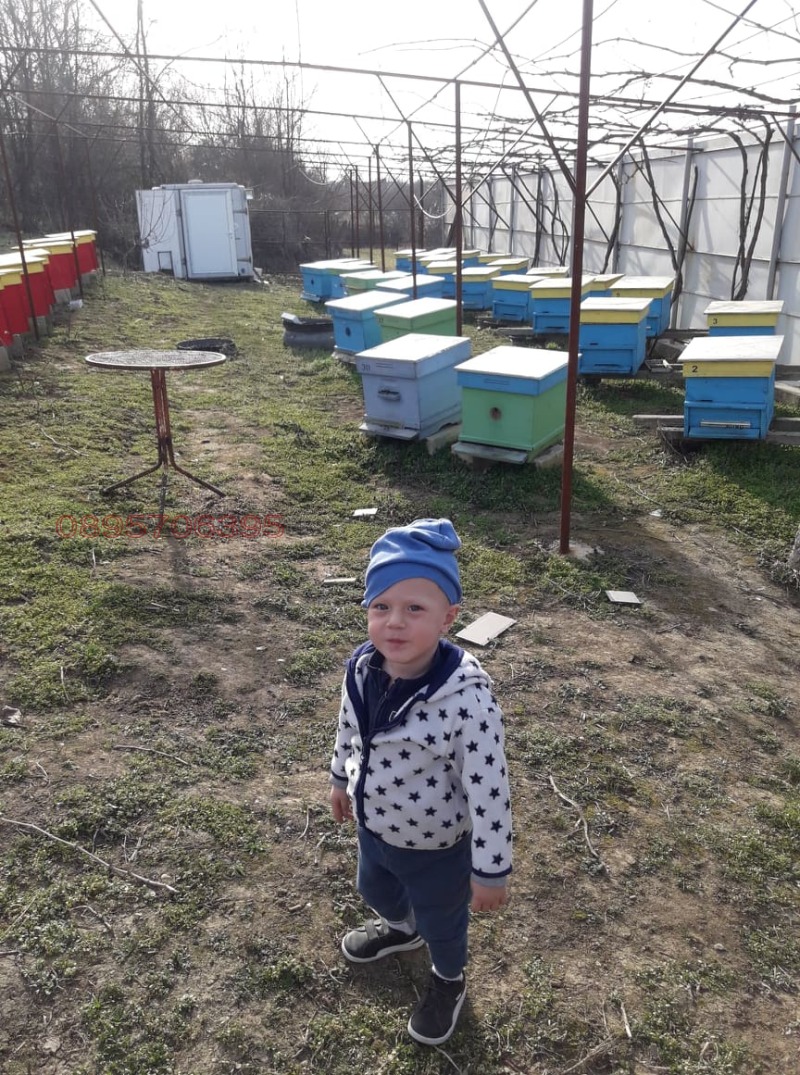 Продава КЪЩА, гр. Тутракан, област Силистра, снимка 2 - Къщи - 52856135