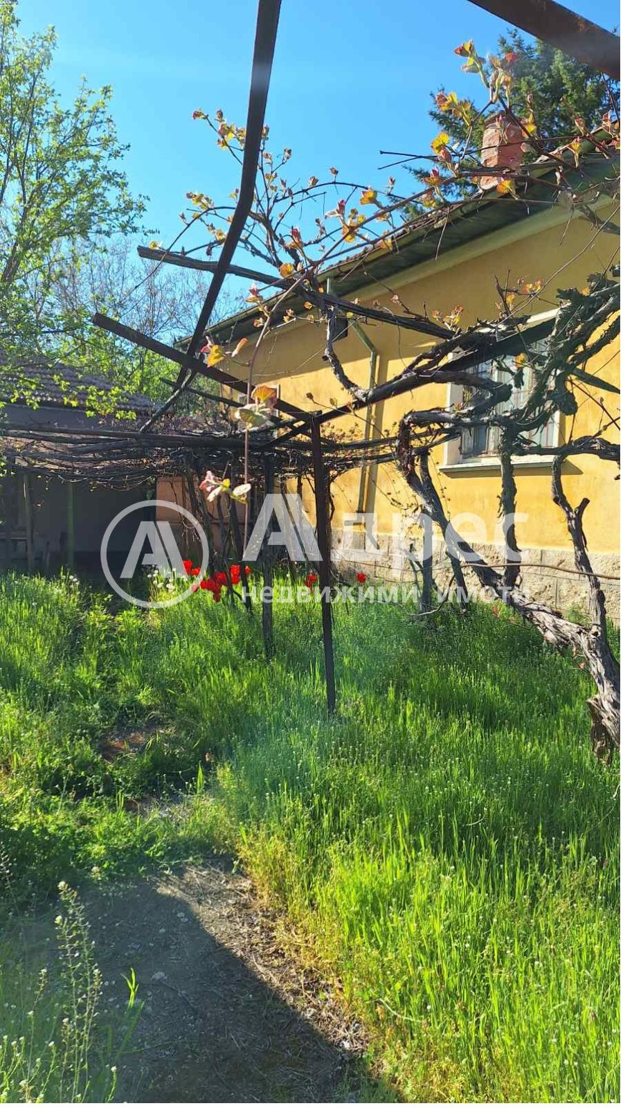 Продава КЪЩА, с. Ракитница, област Видин, снимка 9 - Къщи - 55650248