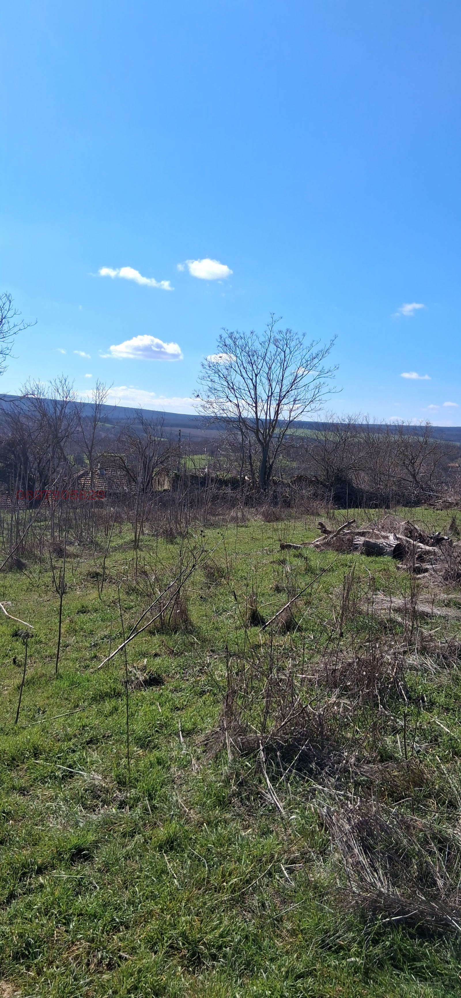 Продава ПАРЦЕЛ, с. Черноок, област Варна, снимка 2 - Парцели - 53750383