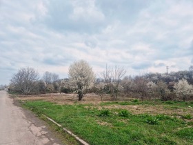 ����� ������� ������,���� ���������, ���������� ����