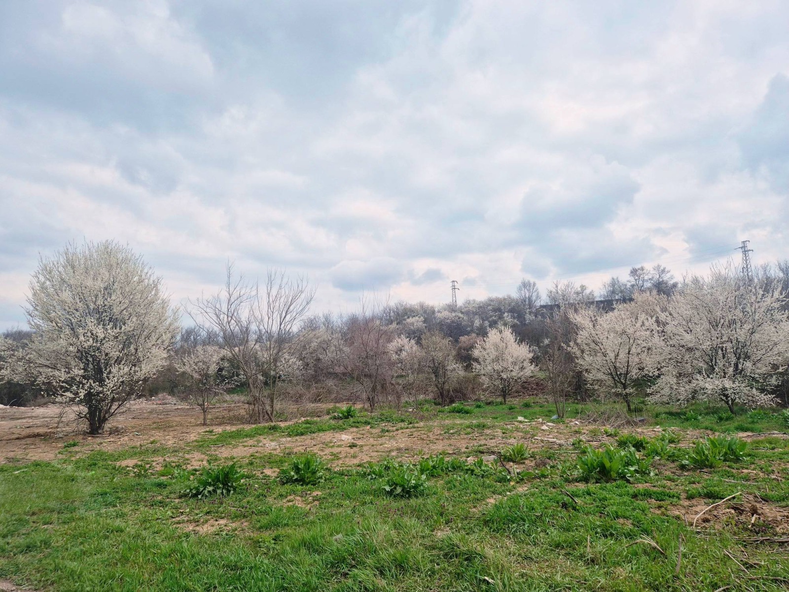 Продава ПАРЦЕЛ, гр. Търговище, Промишлена зона, снимка 2 - Парцели - 54075431