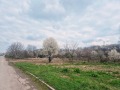Продава ПАРЦЕЛ, град Търговище, Промишлена зона • 750000 € / 1466872.50 лв. • 13513078 1