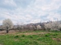 Продава ПАРЦЕЛ, град Търговище, Промишлена зона • 750000 € / 1466872.50 лв. • 13513078 2