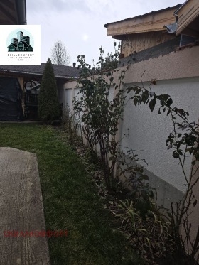 ������ ������� ����