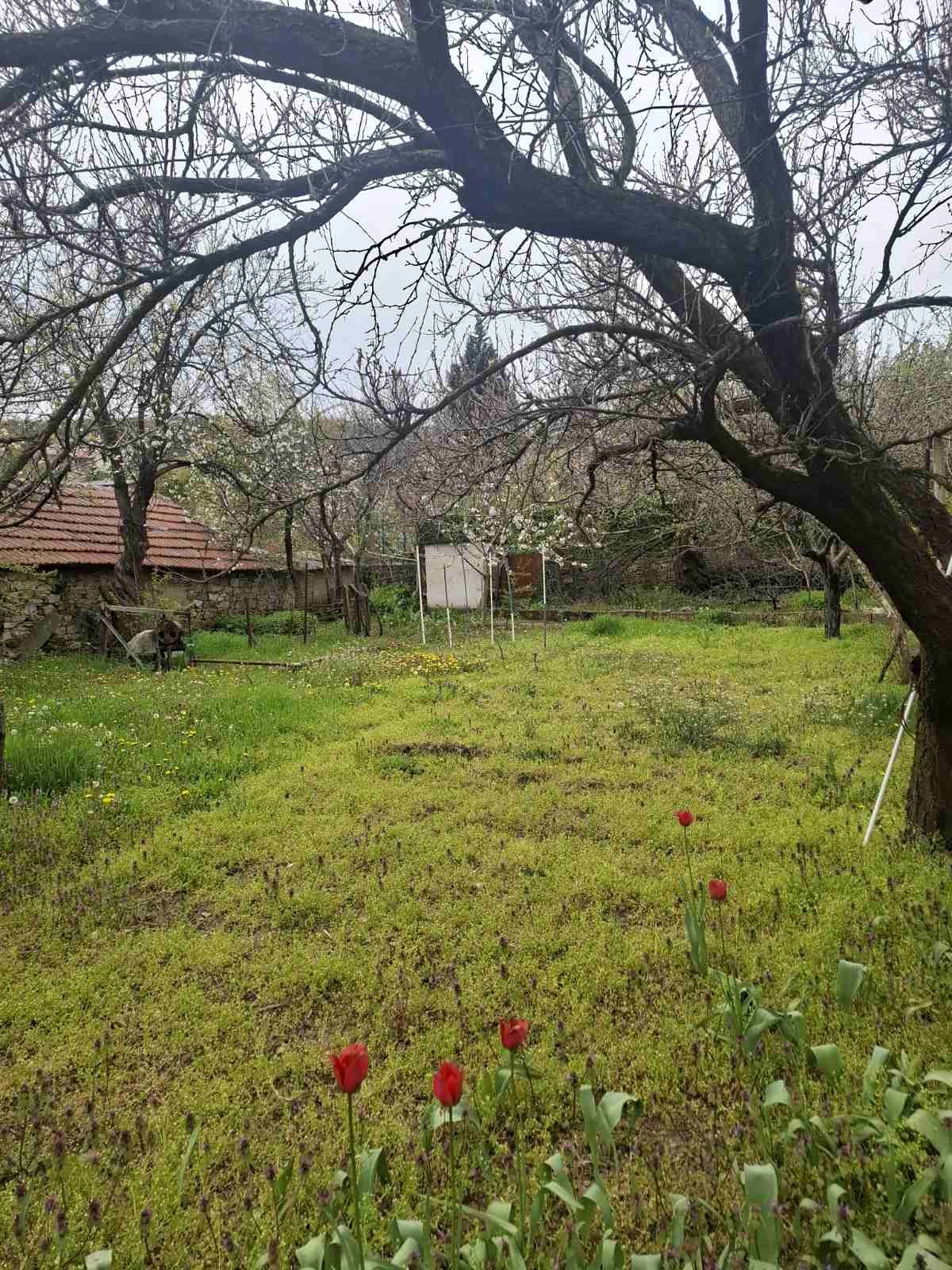 Продава КЪЩА, с. Малка Верея, област Стара Загора, снимка 6 - Къщи - 56122077