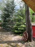Продава КЪЩА, област Бургас, с. Голямо Буково • 60500 € • 59239021 — Holmes.bg
