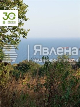 Trama m-t Priboi, Varna