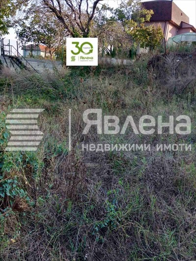 In vendita  Complotto Varna , m-t Priboj , 641 mq | 15741635 - Immagine [4]
