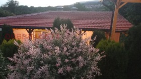 ������� ���� | Imot.bg � ����� ������ 12