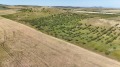 Продава ЗЕМЕДЕЛСКА ЗЕМЯ, гр. Бургас, с. Брястовец, снимка 3
