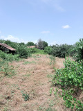 Продава  3-стаен област Плевен , с. Ленково , 870 кв.м | 61239412 - изображение [5]