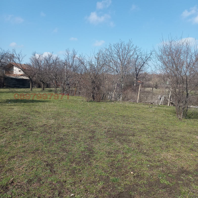 Продава  Парцел град Хасково , Хисаря , 2500 кв.м | 43325901 - изображение [2]