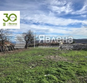 ����� ������� ������,�. ������� ������������, ������ �����