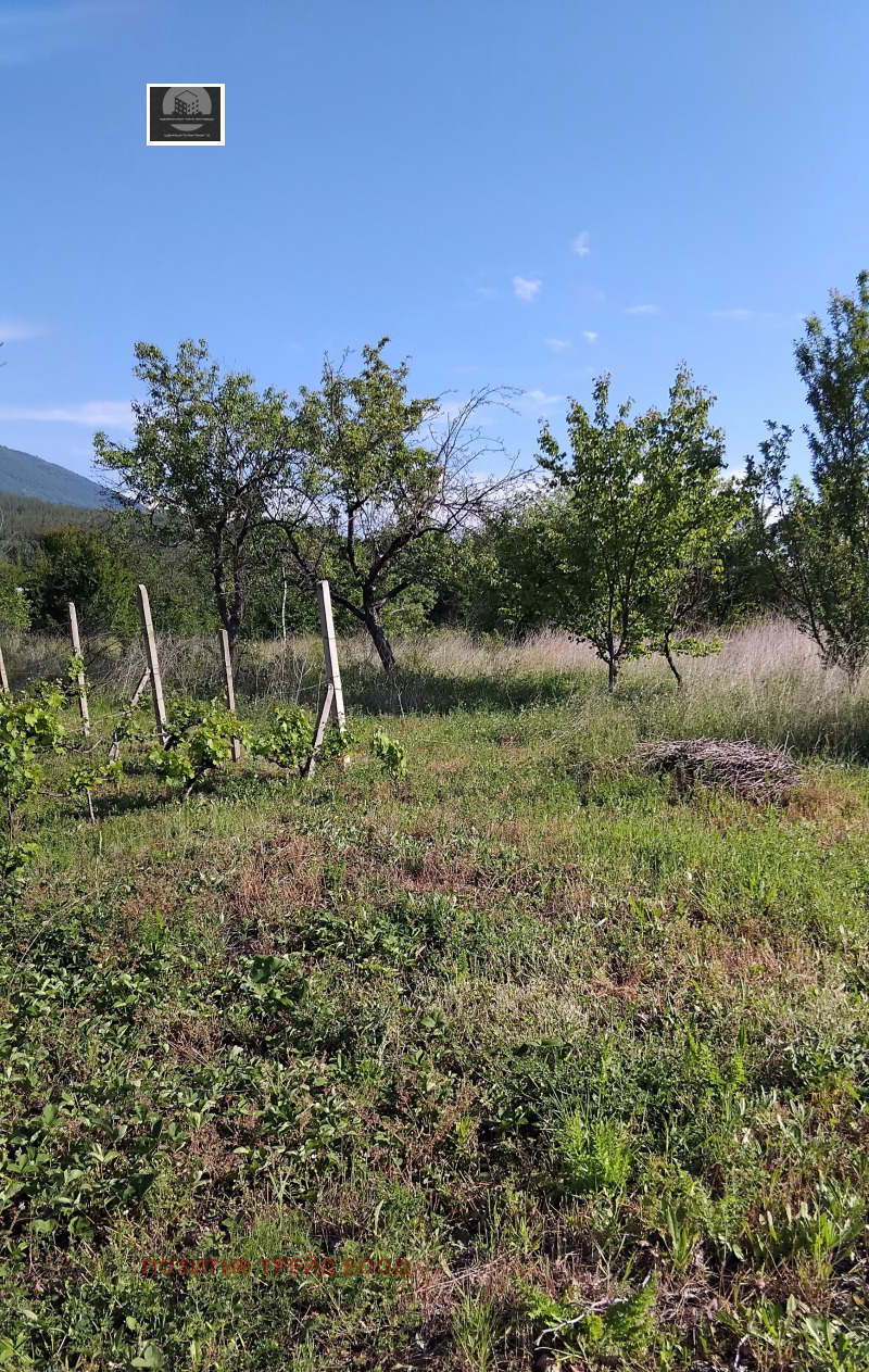 Te koop  Verhaallijn regio Kjoestendil , Dupnitsa , 950 m² | 46669076 - afbeelding [3]