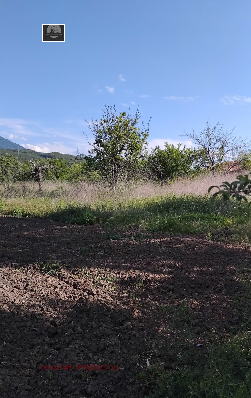 Te koop  Verhaallijn regio Kjoestendil , Dupnitsa , 950 m² | 46669076