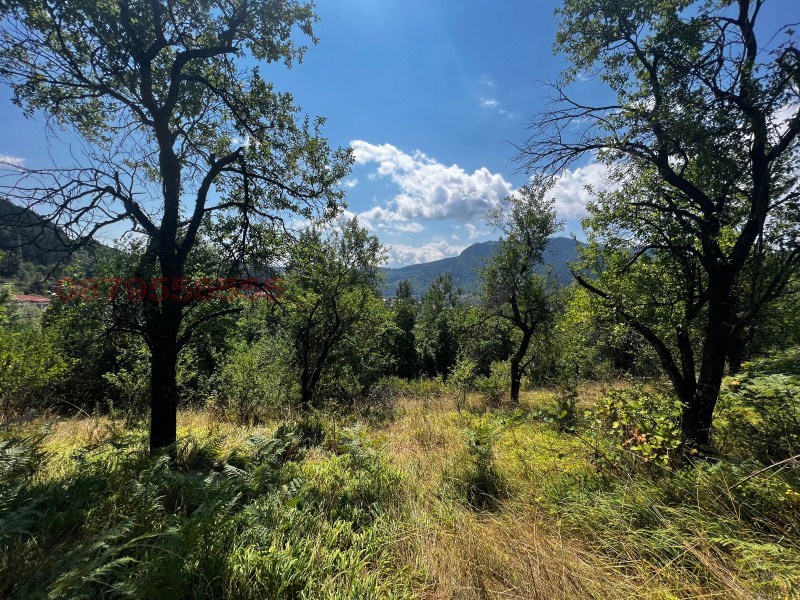 Продава ПАРЦЕЛ, гр. Смолян, Каптажа, снимка 6 - Парцели - 52785110