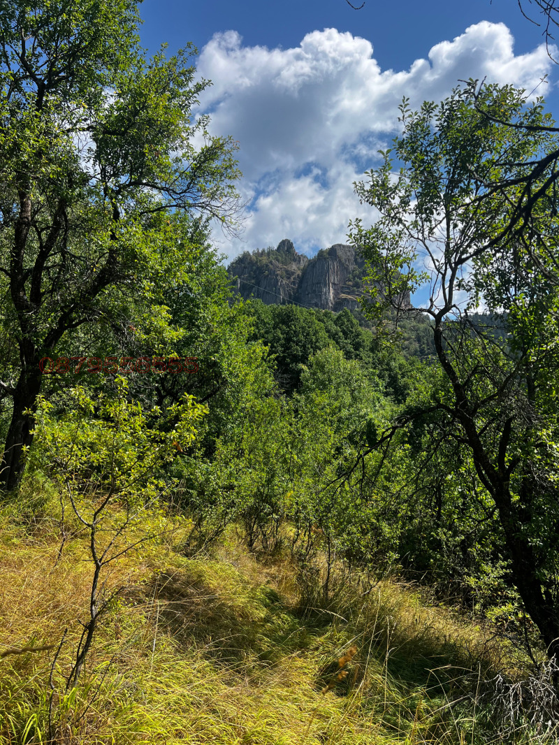 Продава ПАРЦЕЛ, гр. Смолян, Каптажа, снимка 4 - Парцели - 52785110