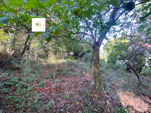 Продава ПАРЦЕЛ | Imot.bg — изображение 1