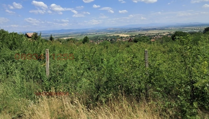 Продава ЗЕМЕДЕЛСКА ЗЕМЯ, с. Ветрен дол, област Пазарджик, снимка 2 - Земеделска земя - 55347786