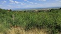 Продава ЗЕМЕДЕЛСКА ЗЕМЯ, с. Ветрен дол, област Пазарджик, снимка 2