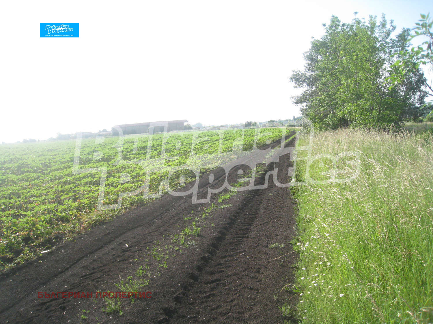 Продава ПАРЦЕЛ | Imot.bg — изображение 4