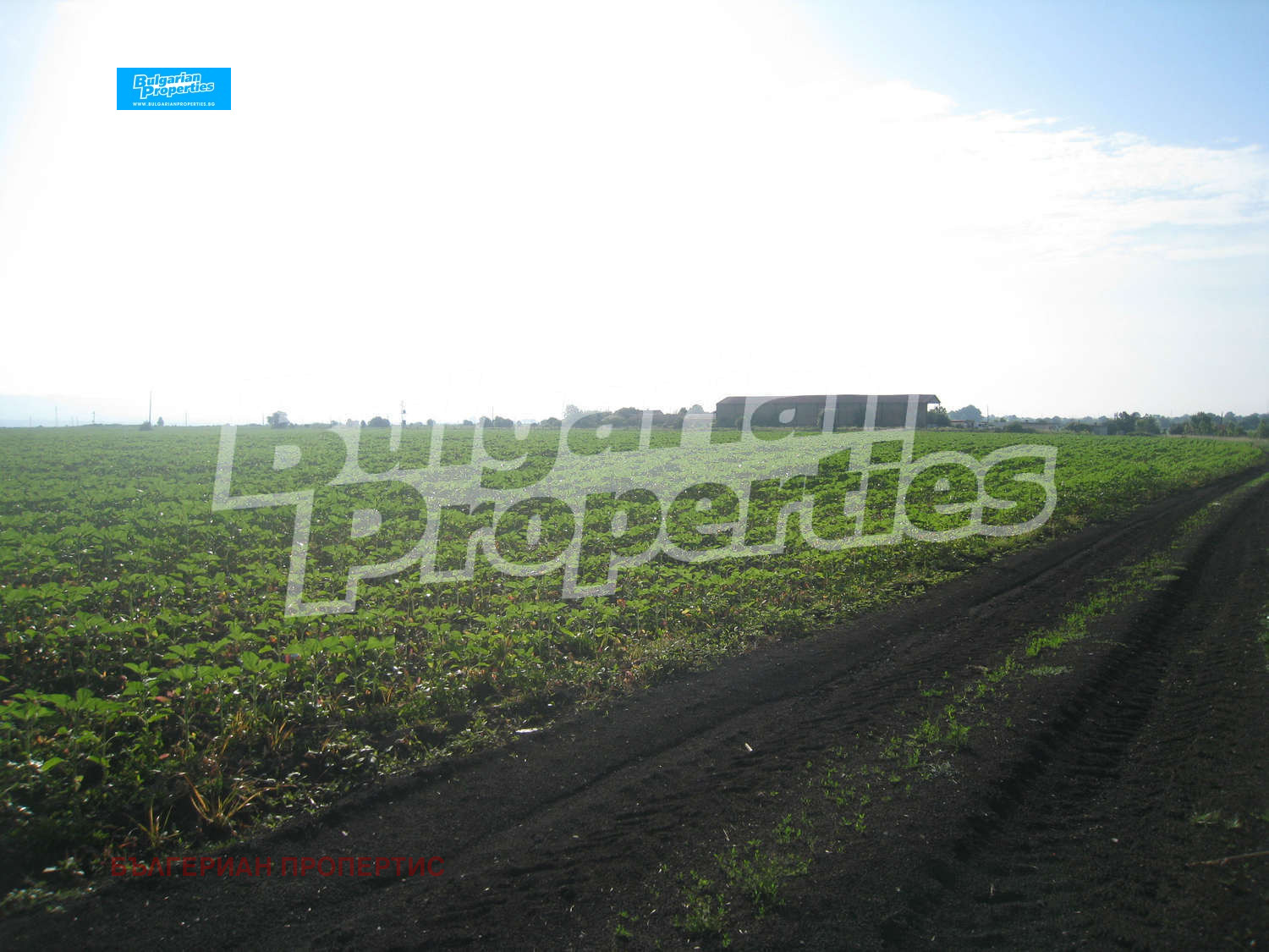 Продава ПАРЦЕЛ | Imot.bg — изображение 5